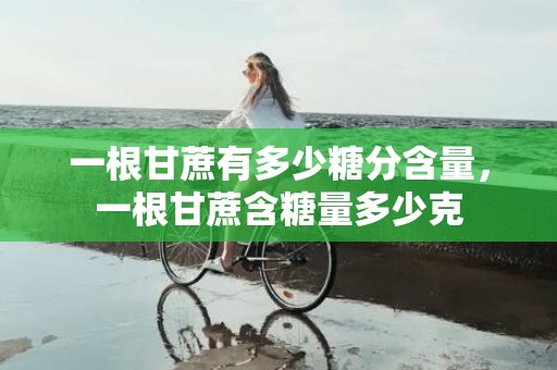 一根甘蔗有多少糖分含量，一根甘蔗含糖量多少克