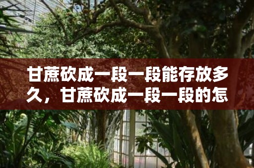 甘蔗砍成一段一段能存放多久，甘蔗砍成一段一段的怎么保存
