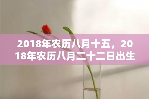 2018年农历八月十五，2018年农历八月二十二日出生的男孩五行取名推荐！