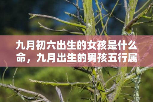 九月初六出生的女孩是什么命，九月出生的男孩五行属什么？如何取名？