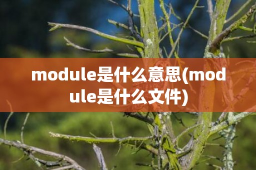 module是什么意思(module是什么文件)