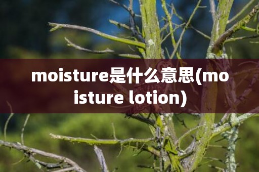 moisture是什么意思(moisture lotion)