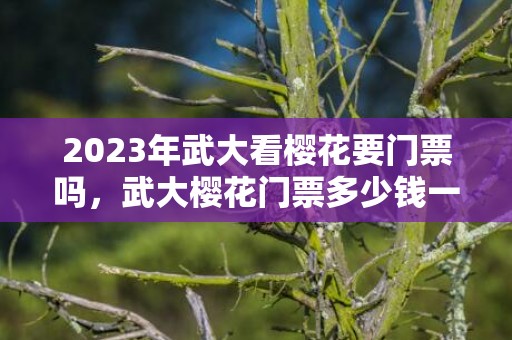 2023年武大看樱花要门票吗，武大樱花门票多少钱一张