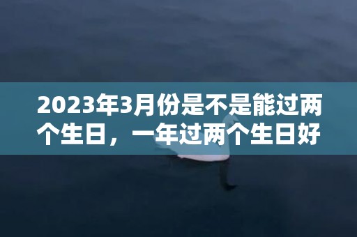 2023年3月份是不是能过两个生日，一年过两个生日好不好
