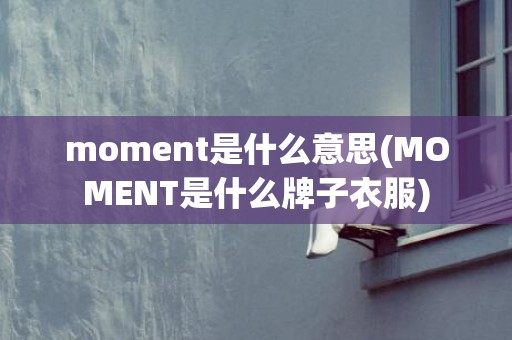 moment是什么意思(MOMENT是什么牌子衣服)