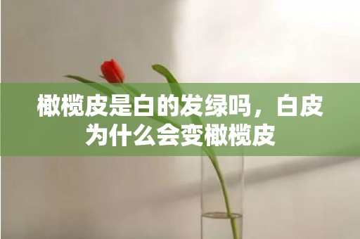 橄榄皮是白的发绿吗，白皮为什么会变橄榄皮
