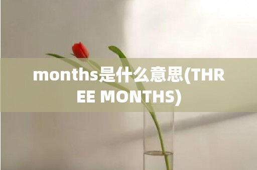 months是什么意思(THREE MONTHS)