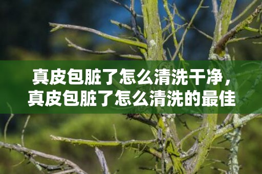 真皮包脏了怎么清洗干净，真皮包脏了怎么清洗的最佳方法？纯皮包脏了怎么处理