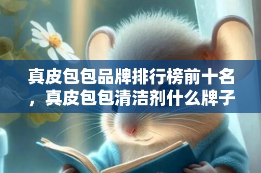 真皮包包品牌排行榜前十名，真皮包包清洁剂什么牌子好耐用 皮革清洗剂哪个牌子好