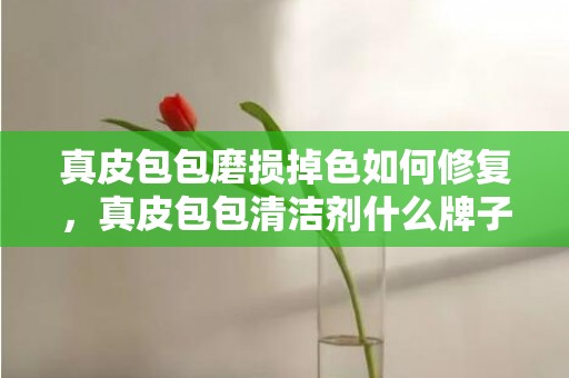 真皮包包磨损掉色如何修复，真皮包包清洁剂什么牌子好一点，皮革清洁剂10大品牌