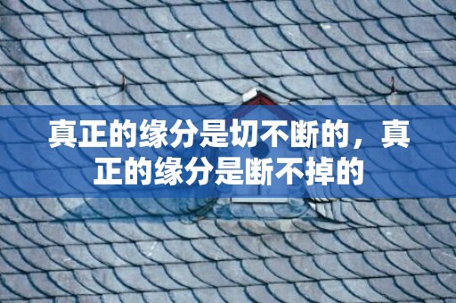 真正的缘分是切不断的，真正的缘分是断不掉的