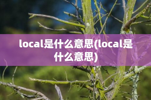 local是什么意思(local是什么意思)