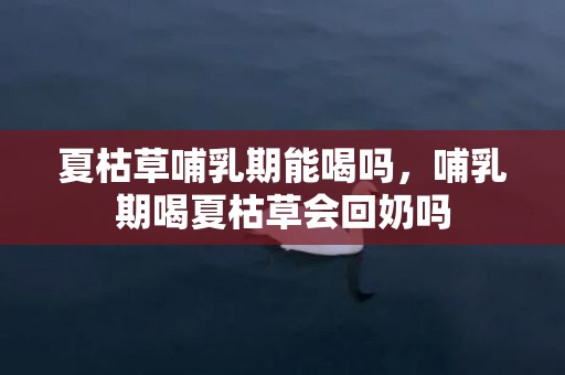 夏枯草哺乳期能喝吗，哺乳期喝夏枯草会回奶吗