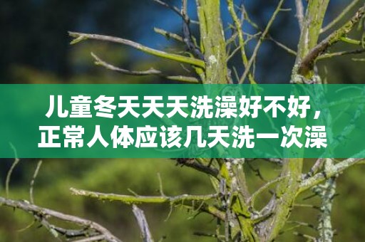 儿童冬天天天洗澡好不好，正常人体应该几天洗一次澡