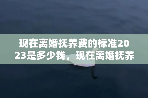 现在离婚抚养费的标准2023是多少钱，现在离婚抚养费的标准2020是多少