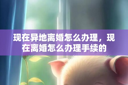 现在异地离婚怎么办理，现在离婚怎么办理手续的