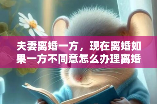 夫妻离婚一方，现在离婚如果一方不同意怎么办理离婚手续