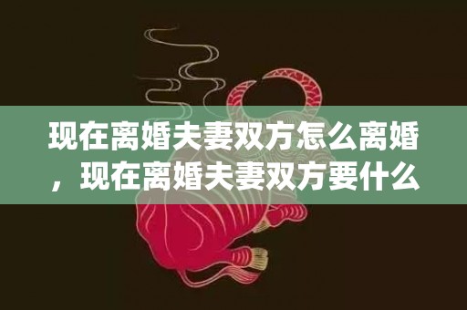 现在离婚夫妻双方怎么离婚，现在离婚夫妻双方要什么手续呢(夫妻双方异地能离婚吗)