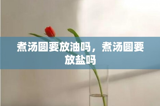 煮汤圆要放油吗，煮汤圆要放盐吗