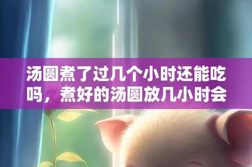 汤圆煮了过几个小时还能吃吗，煮好的汤圆放几小时会坏吗