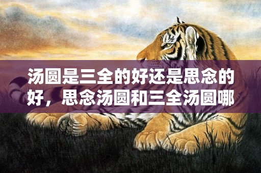 汤圆是三全的好还是思念的好，思念汤圆和三全汤圆哪个更好