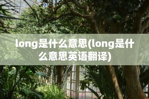 long是什么意思(long是什么意思英语翻译)