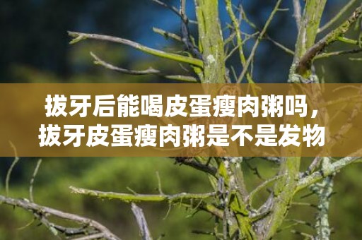 拔牙后能喝皮蛋瘦肉粥吗，拔牙皮蛋瘦肉粥是不是发物食物