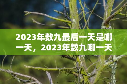 2023年数九最后一天是哪一天，2023年数九哪一天结束