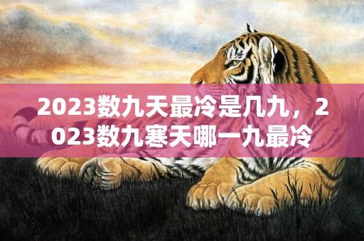 2023数九天最冷是几九，2023数九寒天哪一九最冷