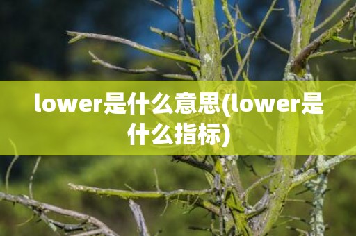 lower是什么意思(lower是什么指标)