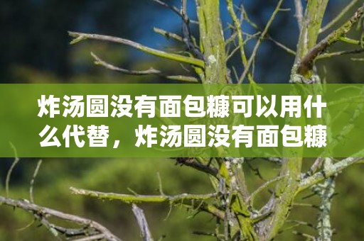 炸汤圆没有面包糠可以用什么代替，炸汤圆没有面包糠可以用饼干碎吗