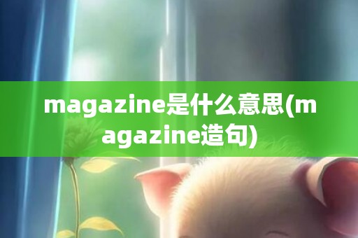 magazine是什么意思(magazine造句)