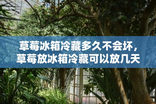 草莓冰箱冷藏多久不会坏，草莓放冰箱冷藏可以放几天