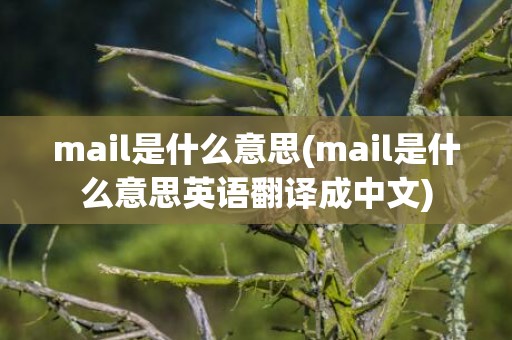 mail是什么意思(mail是什么意思英语翻译成中文)