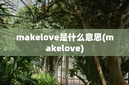 makelove是什么意思(makelove)