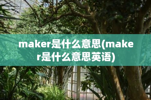 maker是什么意思(maker是什么意思英语)