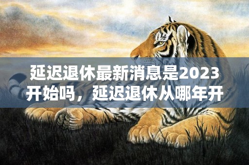 延迟退休最新消息是2023开始吗，延迟退休从哪年开始实行