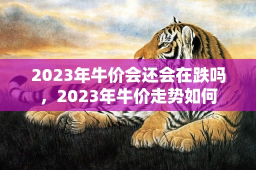 2023年牛价会还会在跌吗，2023年牛价走势如何