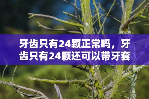 牙齿只有24颗正常吗，牙齿只有24颗还可以带牙套么
