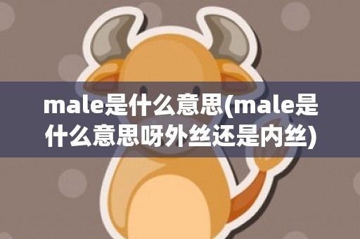 male是什么意思(male是什么意思呀外丝还是内丝)