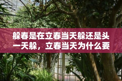 躲春是在立春当天躲还是头一天躲，立春当天为什么要躲春