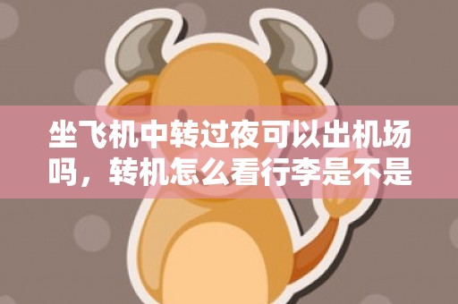 坐飞机中转过夜可以出机场吗，转机怎么看行李是不是直达