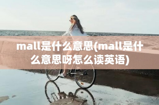 mall是什么意思(mall是什么意思呀怎么读英语)