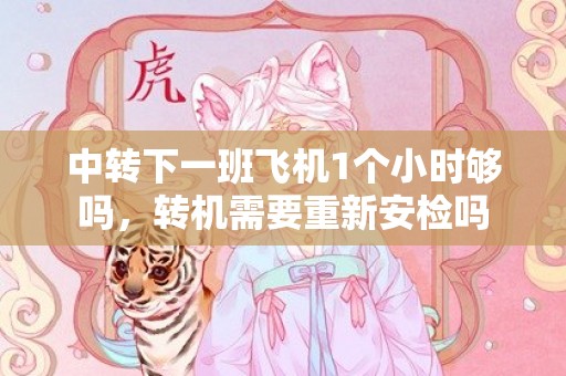 中转下一班飞机1个小时够吗，转机需要重新安检吗