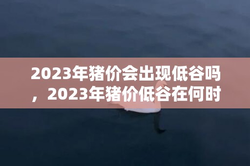 2023年猪价会出现低谷吗，2023年猪价低谷在何时