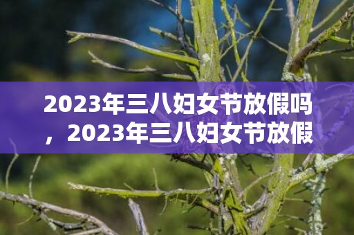 2023年三八妇女节放假吗，2023年三八妇女节放假几天