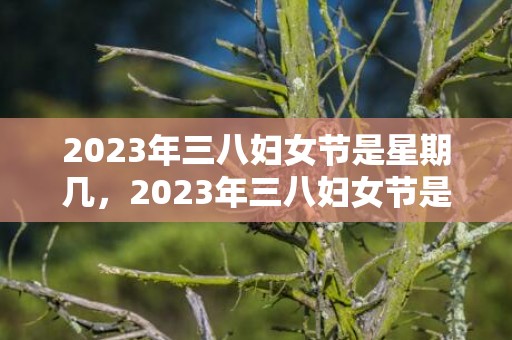 2023年三八妇女节是星期几，2023年三八妇女节是哪一天