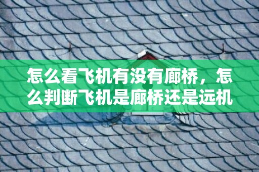 怎么看飞机有没有廊桥，怎么判断飞机是廊桥还是远机