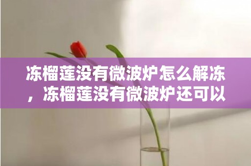 冻榴莲没有微波炉怎么解冻，冻榴莲没有微波炉还可以用什么解冻