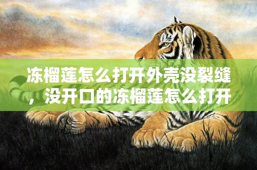 冻榴莲怎么打开外壳没裂缝，没开口的冻榴莲怎么打开
